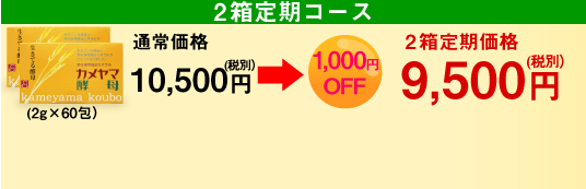 2箱定期コース