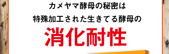 カメヤマ酵母の秘密は特殊加工された生きてる酵母の消化耐性