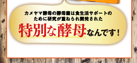 カメヤマ酵母の酵母菌は食生活サポートのために研究が重ねられ開発された特別な酵母なんです！