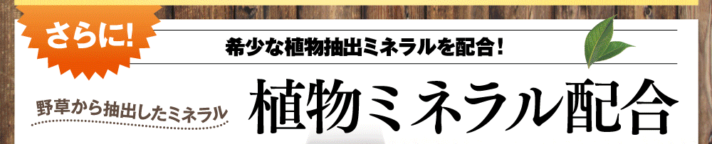 さらに、希少な植物抽出ミネラルを配合！