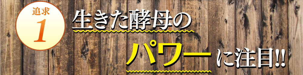 生きた酵母のパワーに注目