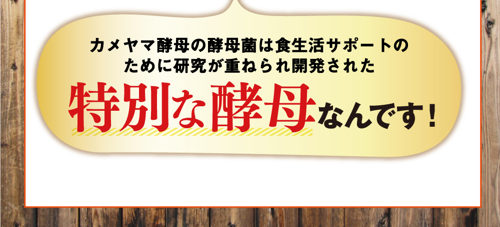 カメヤマ酵母の酵母菌は食生活サポートのために研究が重ねられ開発された特別な酵母なんです！