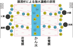 膜透析による海水処理の原理