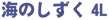 Ĉ