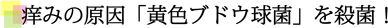 y݂̌FuhEۂE