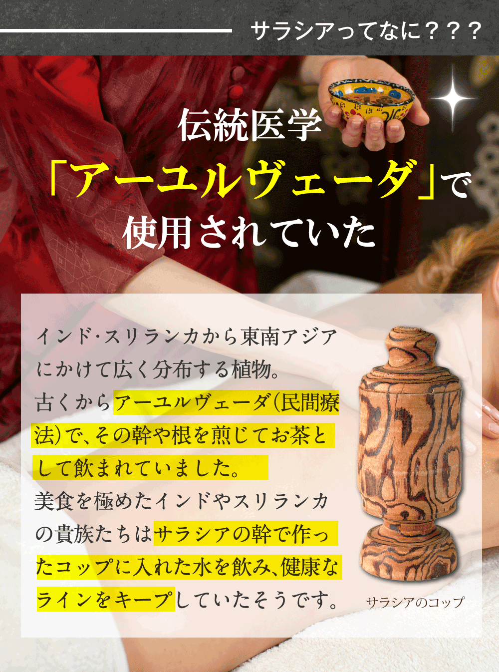 サラシアは世界最古の歴史を持つ伝統医学アーユルヴェーダで使用されていた。美食を極めたインドやスリランカの貴族たちはサラシアの幹で作ったコップに入れた水を飲み、健康なラインをキープしていたそうです。