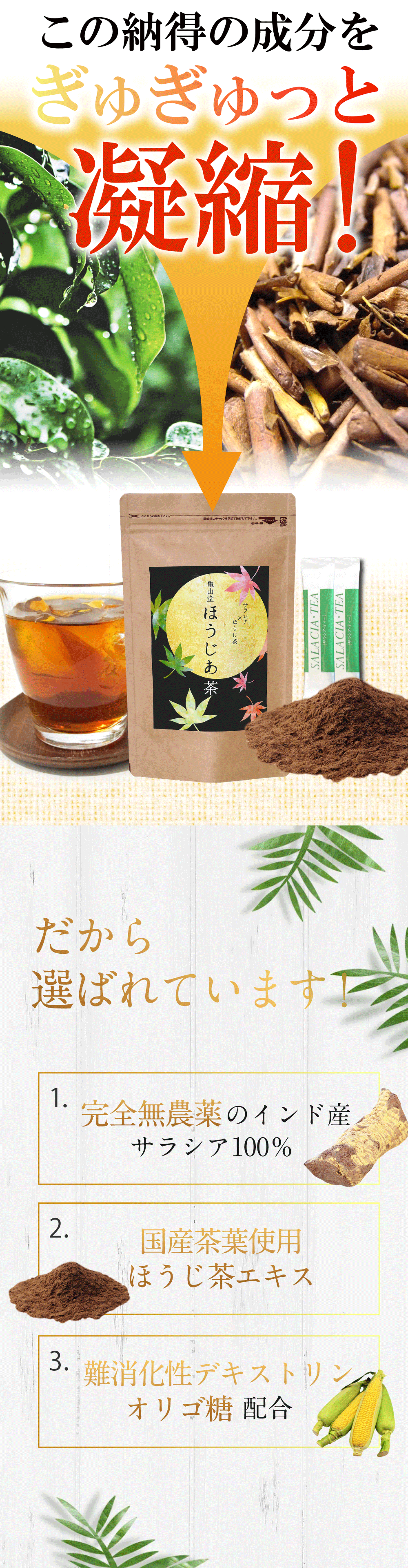 この納得の成分をぎゅぎゅっと凝縮！