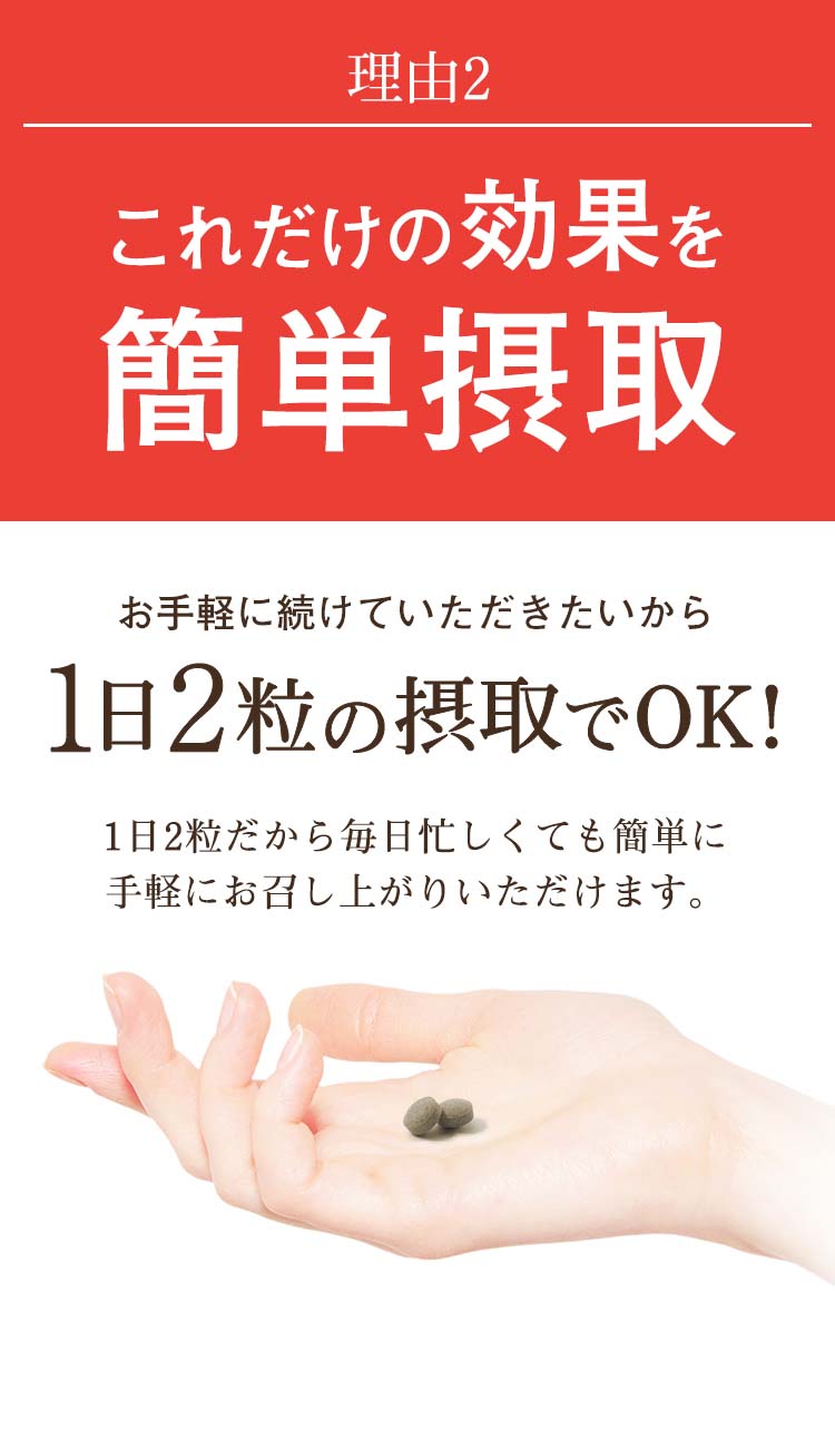 ワイルドマンゴーの力の公式キャンペーンページ ワイルドマンゴーの力の公式キャンペーンページ