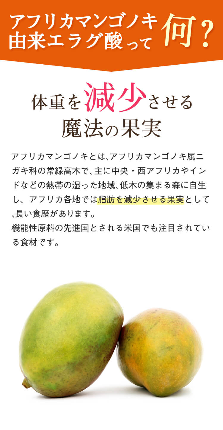 アフリカマンゴノキ由来エラグ酸って何？BMIを減少させる魔法の果実。過剰な食欲を抑制する食材として長い食歴があり、機能性原料の先進国とされる米国でも注目されている食材です。