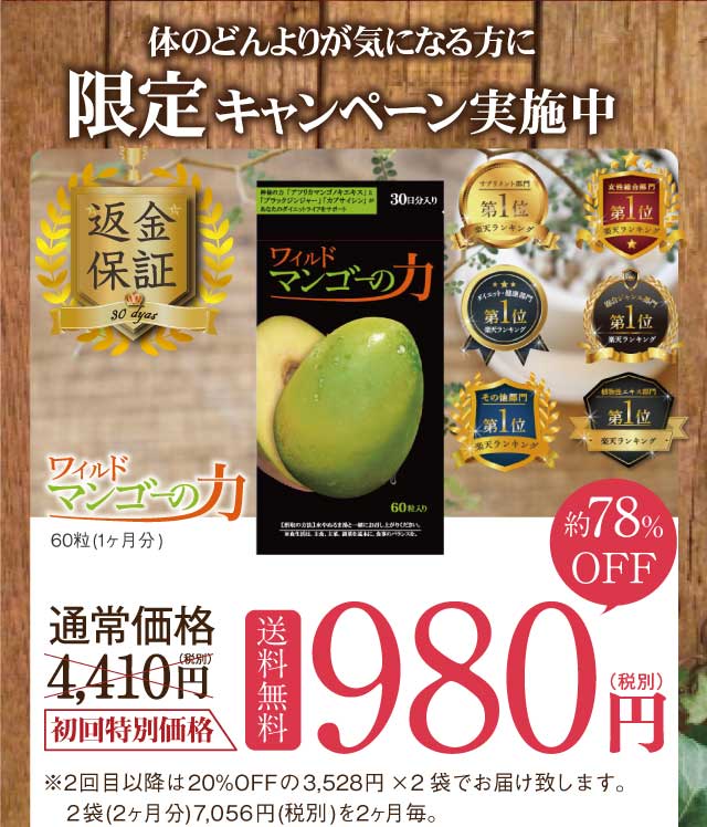 ワイルドマンゴーの力 1袋(60粒 約1ヶ月分)亀山堂 機能性表示食品 エラグ酸 ダイエット サプリ ワンズダイレクト ワイルドマンゴーの力 A  2袋
