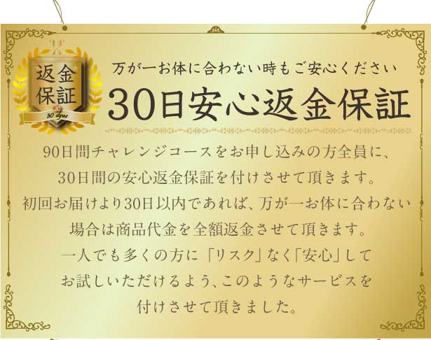 亀山堂ワイルドマンゴーの力【60粒】30日分×4袋《約4ヶ月分》◆24時間以内発送◆