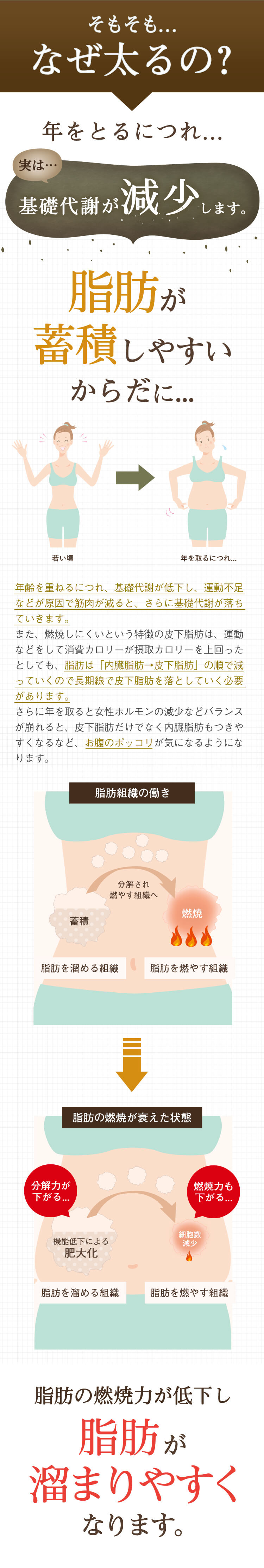 あんぜ太るの？年を取るにつれ・・・実はきそたいしゃが減少します。脂肪が蓄積しやすい体に・・・年齢を重ねるにつれてきそたいしゃが低下し、運動不足などが原因で筋肉が減ると、さらに基礎代謝が落ちていきます。脂肪の燃焼力が低下する事で脂肪がたまりやすくなるのです。