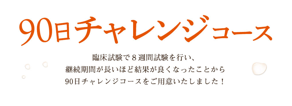 90日チャレンジコース