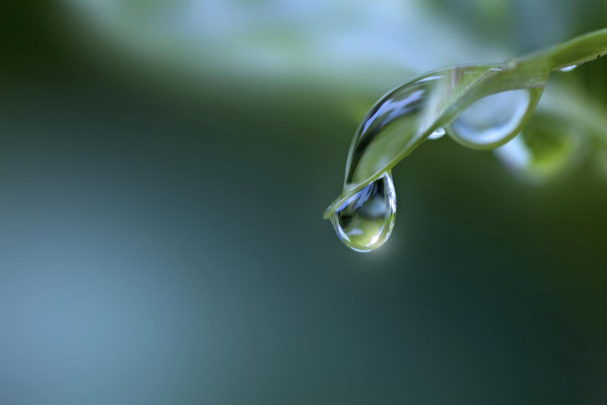 水滴