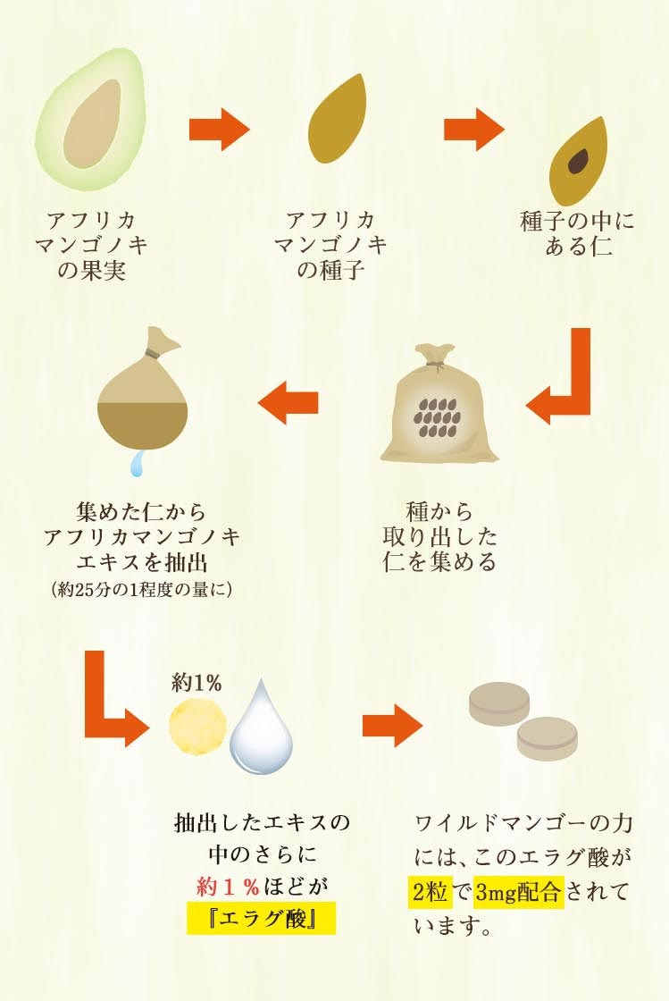 エラグ酸抽出の図
