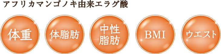 体重、体脂肪、中性脂肪、BMI、ウエスト全てにおいて減少